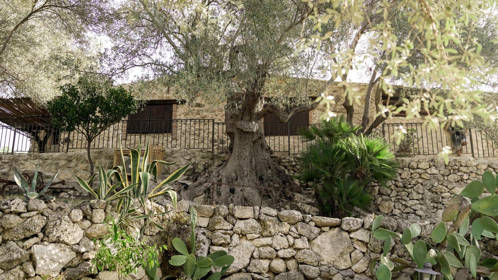 Roba Degli Ulivi Bed & Breakfast Agrigento Luaran gambar
