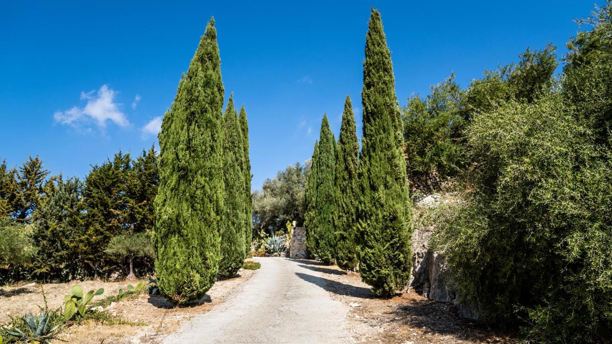 Roba Degli Ulivi Bed & Breakfast Agrigento Luaran gambar