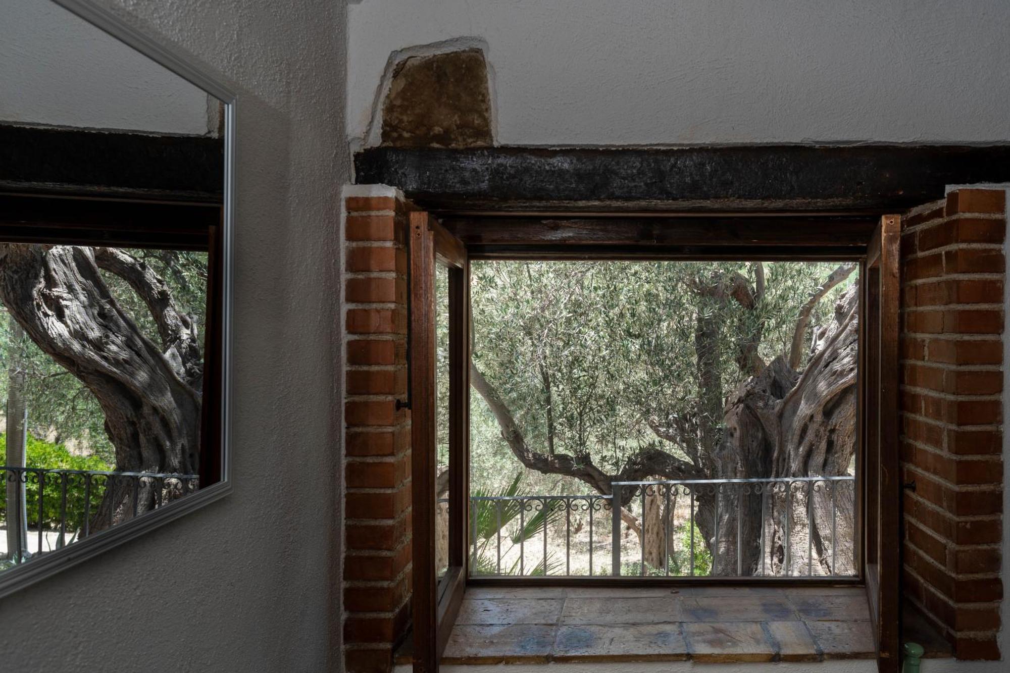 Roba Degli Ulivi Bed & Breakfast Agrigento Luaran gambar